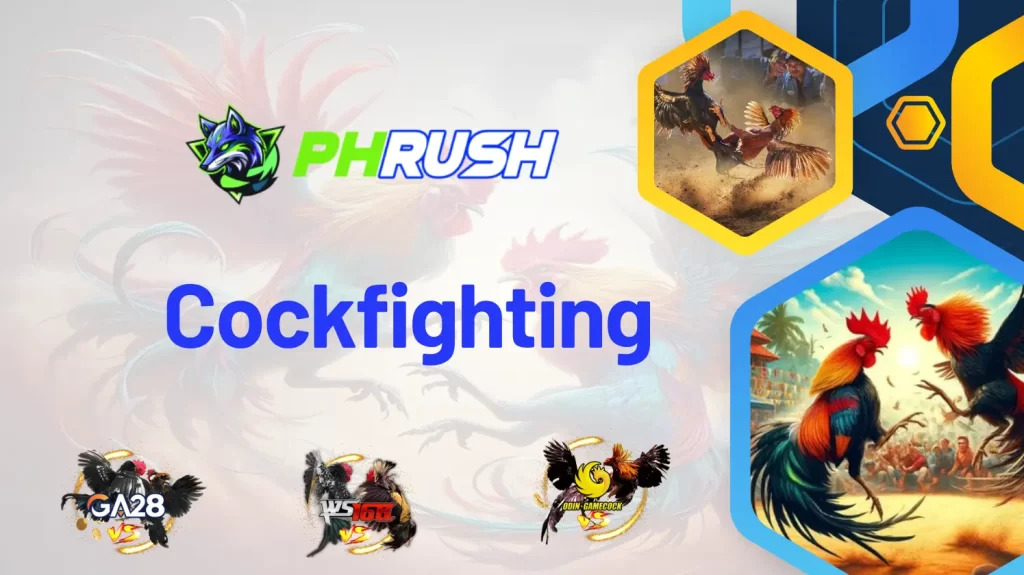 4 Reasons to Join PhRush Cockfighting You Need to Know