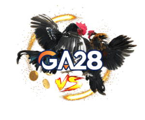 Cockfighting GA28