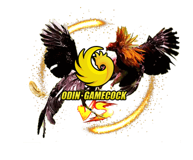 Cockfighting